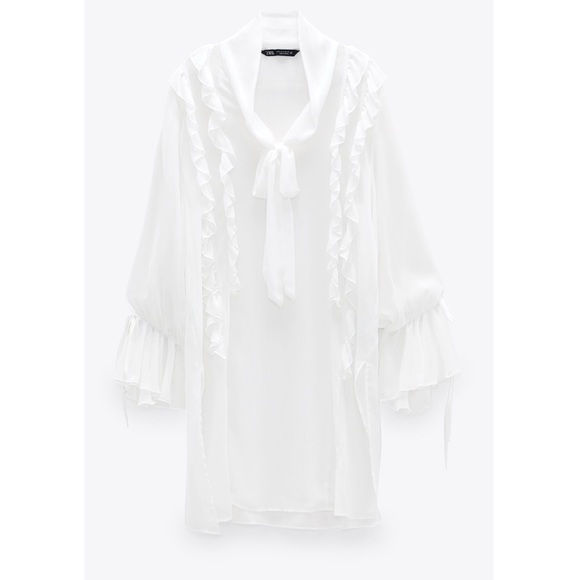 Zara Chiffon Ruffled Blouse - Picture 2 of 9